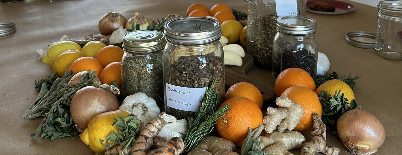 Healing Harvest | Fire Cider Workshop with Rabia's Remedies | October 17